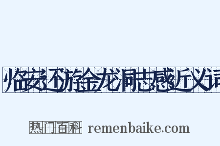 临安还游金龙洞志感近义词是什么意思的图片